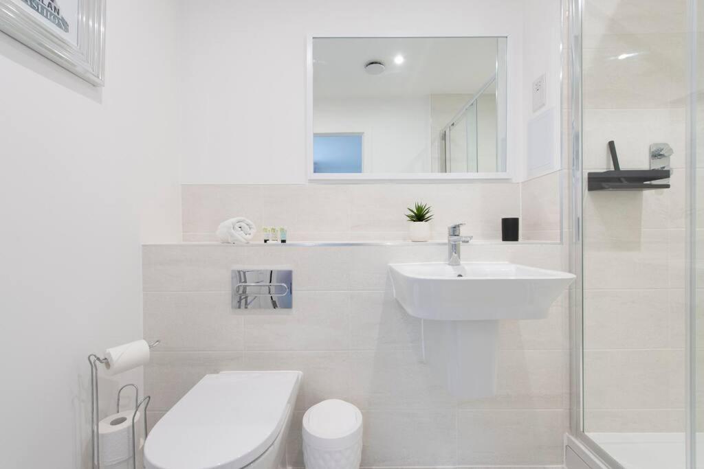 Apartament Finsbury Park Penthouse: Luxe Living Londra